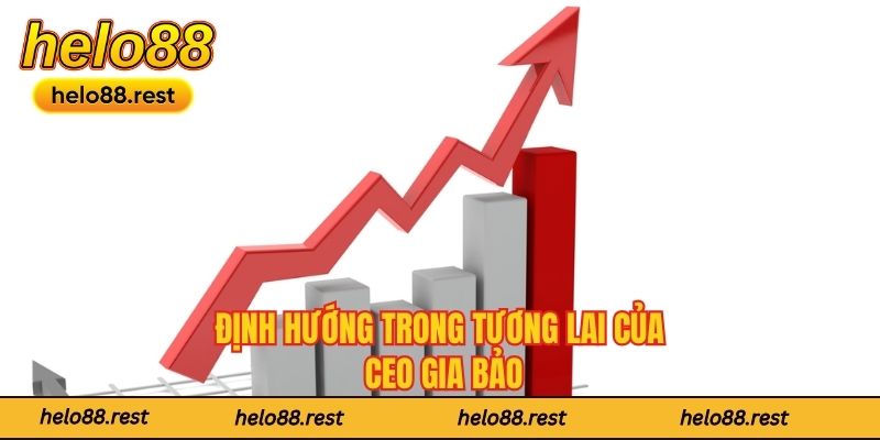 Định hướng trong tương lai của CEO Gia Bảo