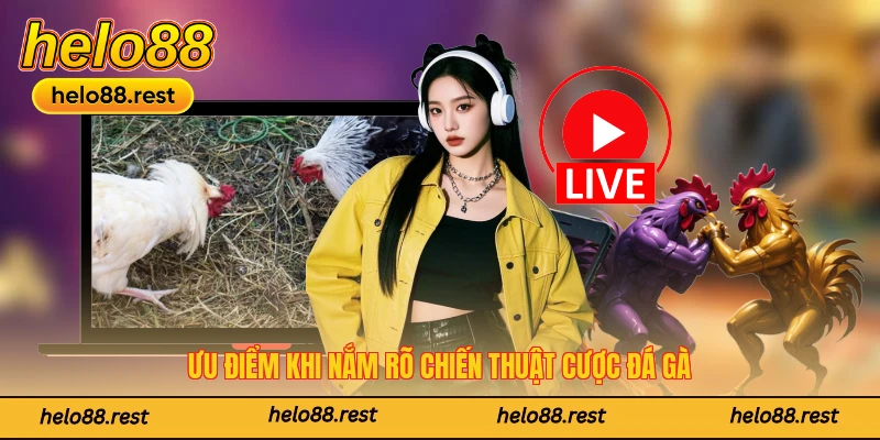 Ưu điểm khi nắm rõ chiến thuật cược đá gà